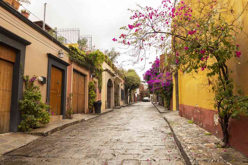 メキシコ市民のためのタイETA featured image