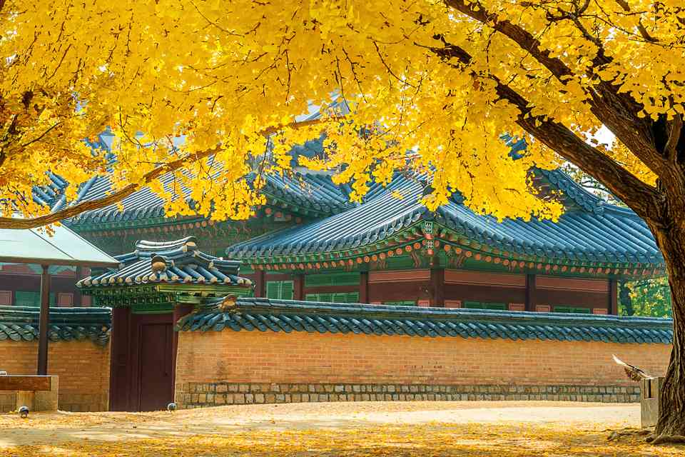 韓国人のためのタイETA featured image